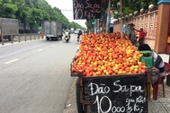 Đào, nho, mận Trung Quốc gắn mác Việt bày bán tràn ngập nhiều đường phố Sài Thành