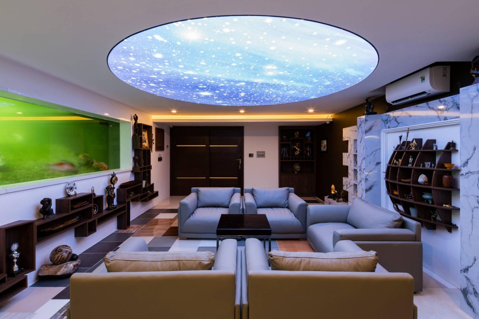 Biệt phủ rộng 3.600 m2, có cả tầng hầm nhìn “xuyên thấu” hồ cá Koi - 5