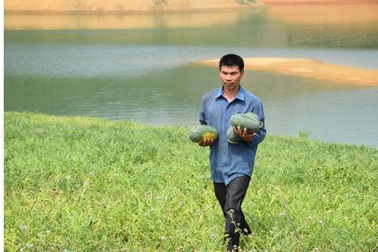 Mai An Tiêm của hồ Thác Bà