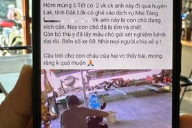 Cộng đồng mạng sốt ruột tìm kiếm người phụ nữ bị chó dại cắn