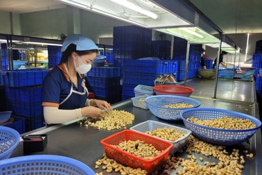 Doanh nghiệp "khát" lao động