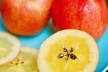 "Cơn sốt" táo mật Nhật Bản giá cả triệu đồng/kg: Dân Việt đổ xô mua