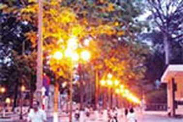 EVN “gồng mình” cắt giảm 600 triệu kWh