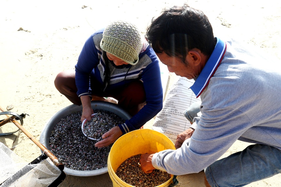 Đầu năm ngư dân trúng đậm ốc gạo - 5 Đầu năm ngư dân trúng đậm ốc gạo - 5