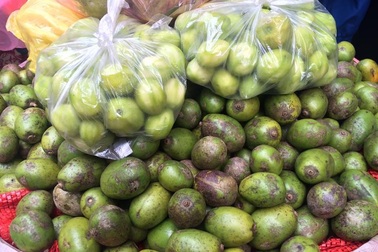 Cóc bao tử, mơ xanh đầu mùa đắt hàng, vài chục cân hết veo sau vài tiếng