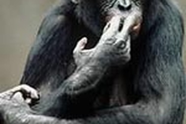 8 kỉ lục Guinness thế giới về quốc gia và chính trị