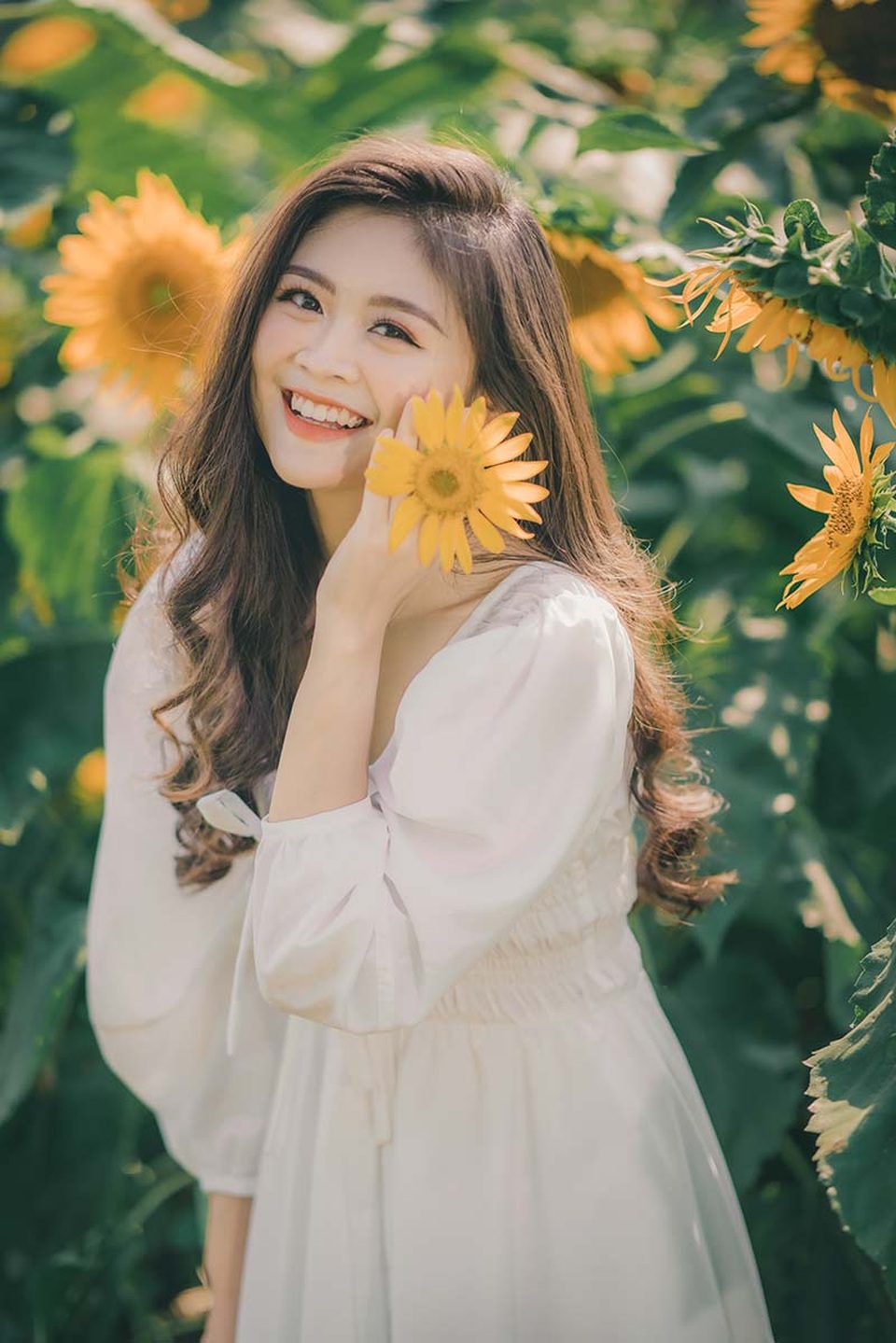 Cựu nữ sinh Ngoại thương khoe sắc bên hoa hướng dương - 1 Cựu nữ sinh Ngoại thương khoe sắc bên hoa hướng dương - 1