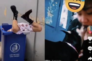 Loạn chiêu trò câu "view bẩn" trên TikTok: Hôn chó, cắm đầu vào thùng rác