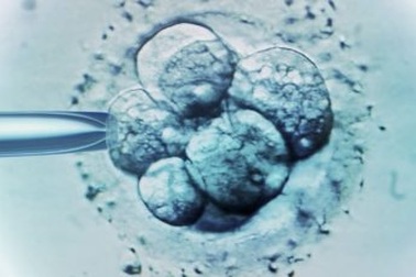 Đã tìm ra phương pháp giảm tác dụng phụ của thuốc chữa ung thư