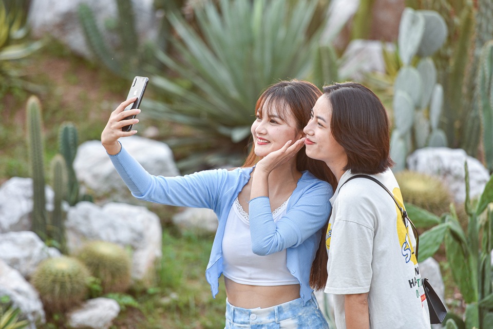 Lạc bước trong vườn xương rồng - tọa độ check-in mới của giới trẻ Hà Nội - 13 Lạc bước trong vườn xương rồng - tọa độ check-in mới của giới trẻ Hà Nội - 13