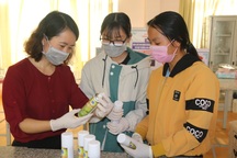 Hai nữ sinh lớp 11 chế dung dịch sát khuẩn từ loại cây mọc dại