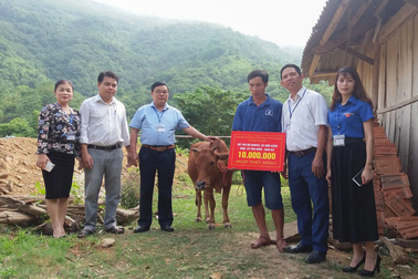 Hạn chế cho không, cấp không nguồn vốn trong mô hình giảm nghèo