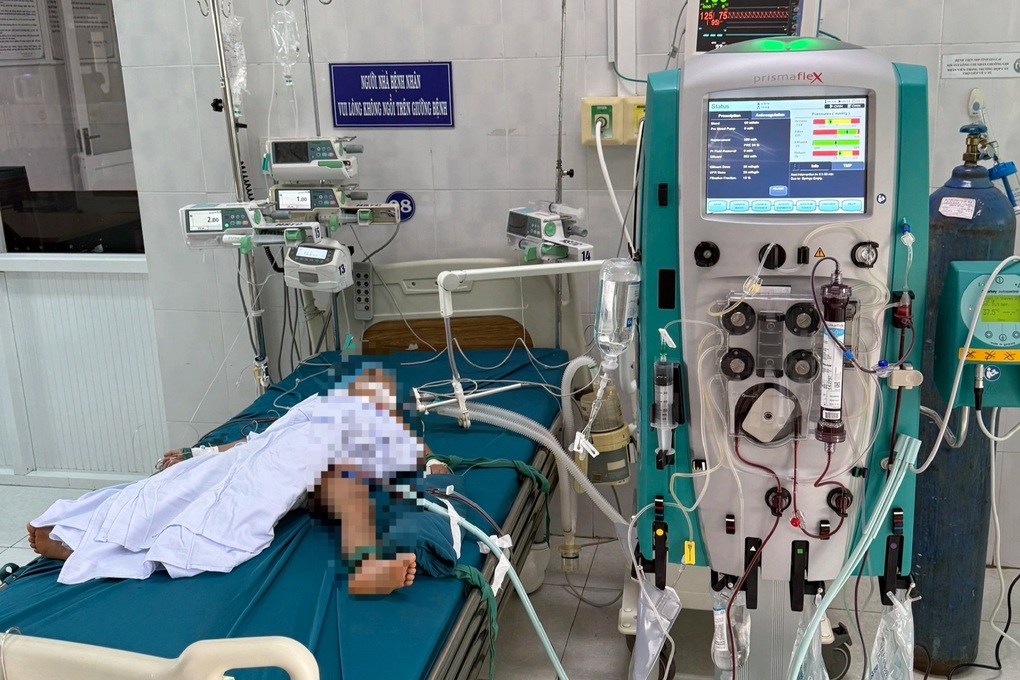Ba em nhỏ bị ong vò vẽ tấn công, một nạn nhân 5 tuổi tử vong - 1 Ba em nhỏ bị ong vò vẽ tấn công, một nạn nhân 5 tuổi tử vong - 1