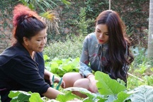 Vườn rau xanh tự tay trồng của NSND Thanh Hoa