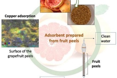 Vỏ các loại cam chanh có thể thay thế cho than hoạt tính