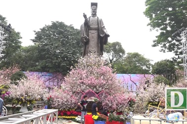 Hoa anh Đào Nhật Bản khoe sắc giữa lòng Hà Nội