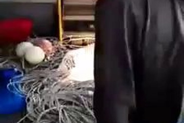 Đặc sản Hàn Quốc sâu dưới đáy biển cả nghìn mét, dân Việt thi nhau lùng mua