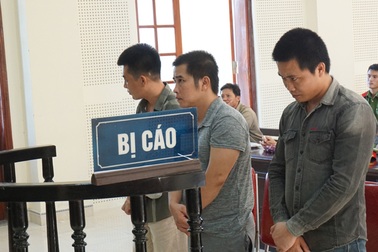 Cướp tài sản, được giảm án do gọi điện hỏi mẹ trước khi hành động