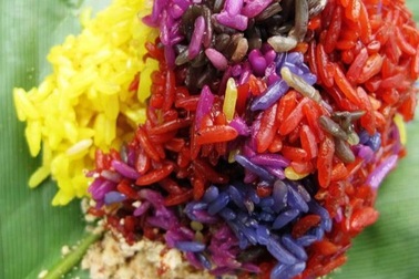 Cây lá cẩm, bí quyết tạo nên món xôi đặc sản ở vùng cao Tây Bắc