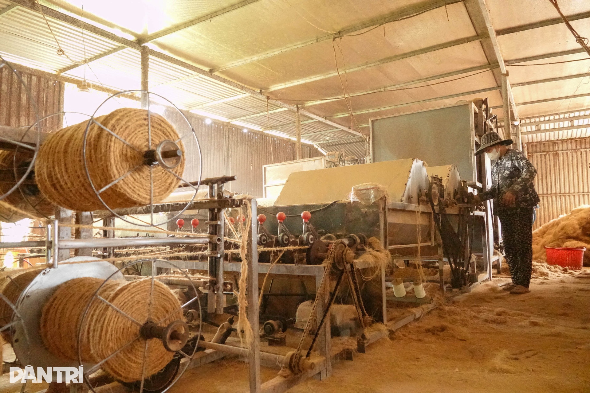 Người phụ nữ lột dừa tươi nhanh như máy, kiếm nửa triệu đồng mỗi ngày - 8