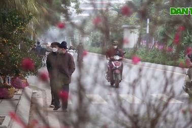 Sôi động chợ hoa Tết 2022 trên đường Lạc Long Quân