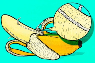 Đừng bỏ những “sợi dây” khi ăn chuối