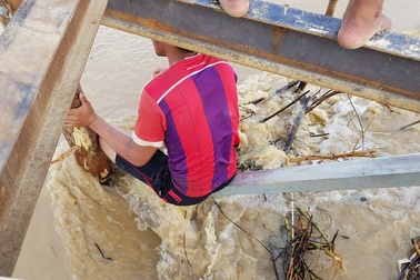 Cầu gỗ cho học sinh qua sông ở Nha Trang lại bị nước lũ cuốn trôi