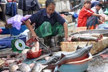 Thịt bẩn, thủy sản lậu “náo loạn” Hà Nội