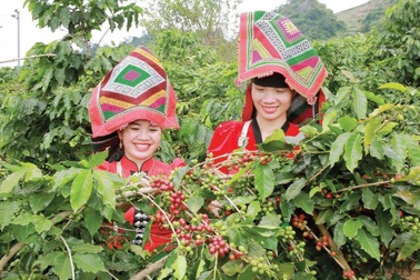 Hạ tầng giao thông - “Cú hích” thay đổi diện mạo vùng nghèo