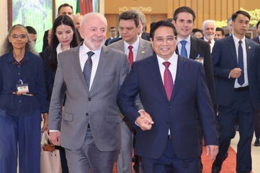 Việt Nam sẵn sàng mở cửa cho thị trường thịt bò của Brazil