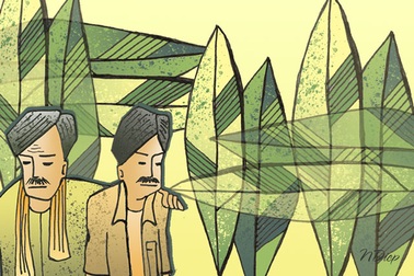 Tình nghệ sĩ vẫn sáng lung linh và ấm áp!