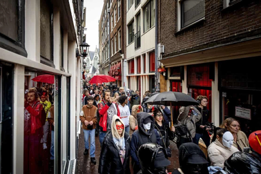 Người hành nghề mại dâm Hà Lan biểu tình phản đối di dời phố đèn đỏ