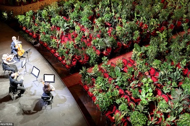 Hòa tấu âm nhạc cho… cây nghe