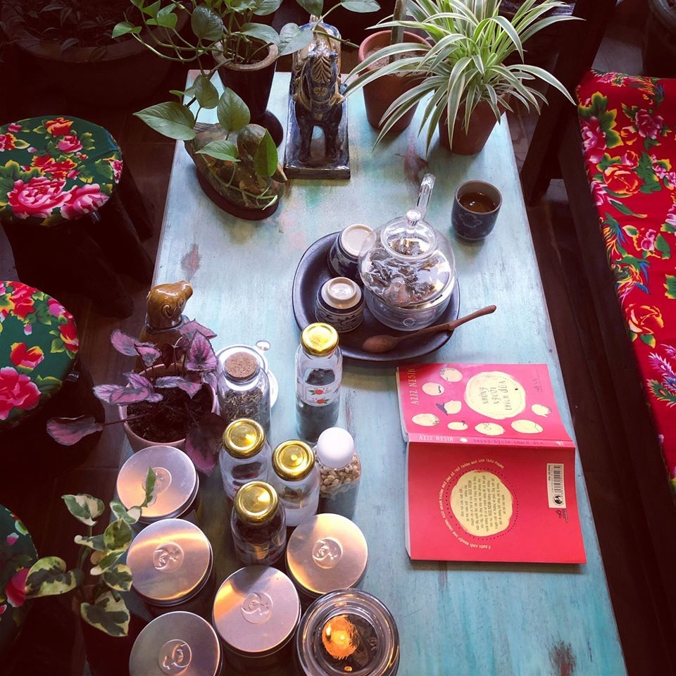 Khu vườn “sống ảo” vạn người mê của chàng trai “nghiện cây” ở Hà Nội - 7 Khu vườn “sống ảo” vạn người mê của chàng trai “nghiện cây” ở Hà Nội - 7
