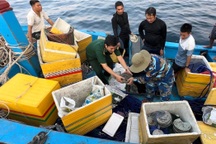 Ngư dân trục vớt cổ vật trong tàu đắm bị phạt 15 triệu đồng