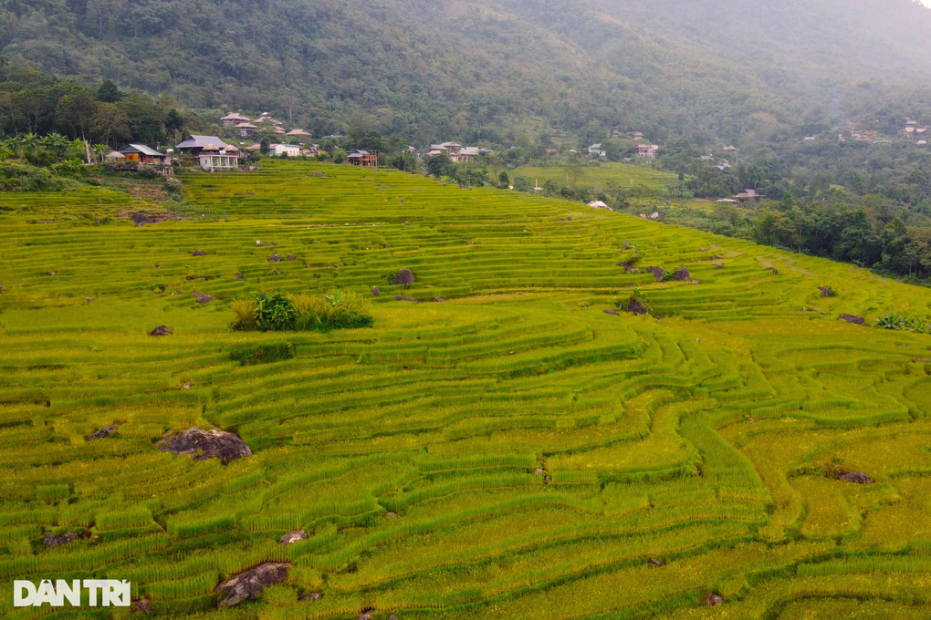 Thanh Hóa kêu gọi đầu tư xây dựng cáp treo ở khu bảo tồn Pù Luông - 1