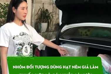Nhóm đối tượng dùng hạt nêm giả làm thuốc diệt cỏ, bán khắp cả nước