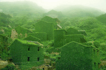 Cây xanh "nuốt chửng" làng "ma" nổi tiếng Trung Quốc