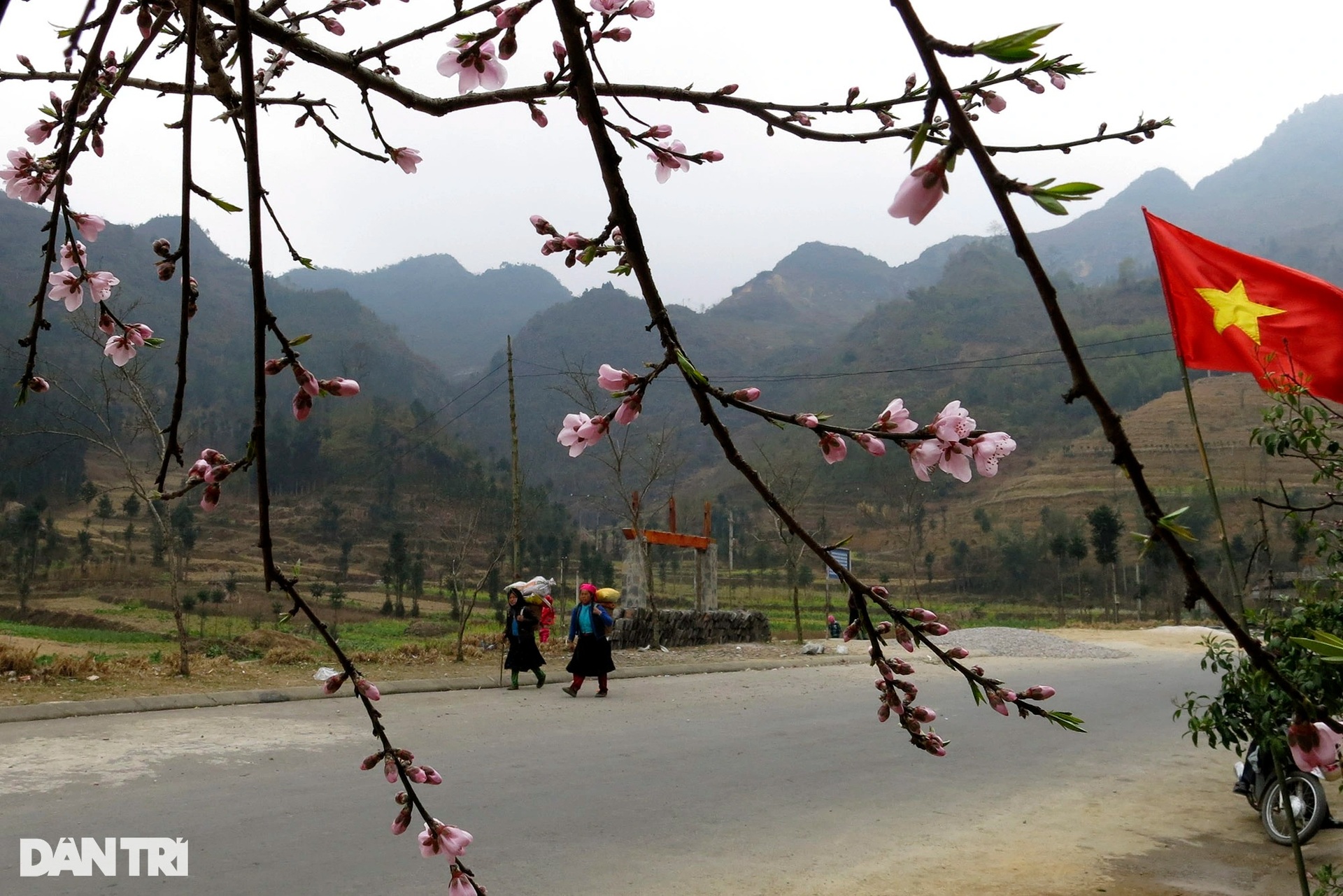 Hà Giang bốn mùa hoang dã - 19