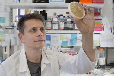 Nghiên cứu cho thấy các enzyme cần thiết để sửa chữa ADN