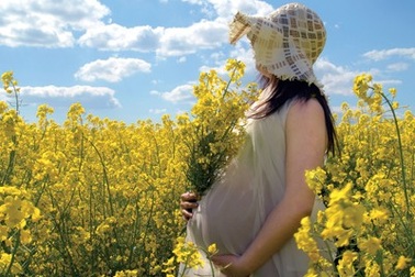 Quy định về thời gian nghỉ dưỡng thai?