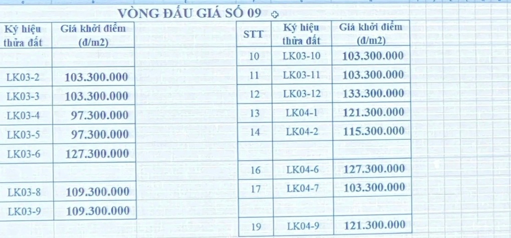 Đấu giá đất huyện Hoài Đức: Bỏng tay với giá trúng 133 triệu đồng/m2 - 1