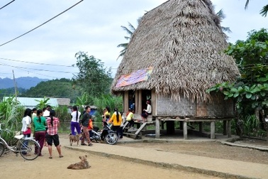 “Thú lạ” xuất hiện ở vùng núi Quảng Nam là bò tót!