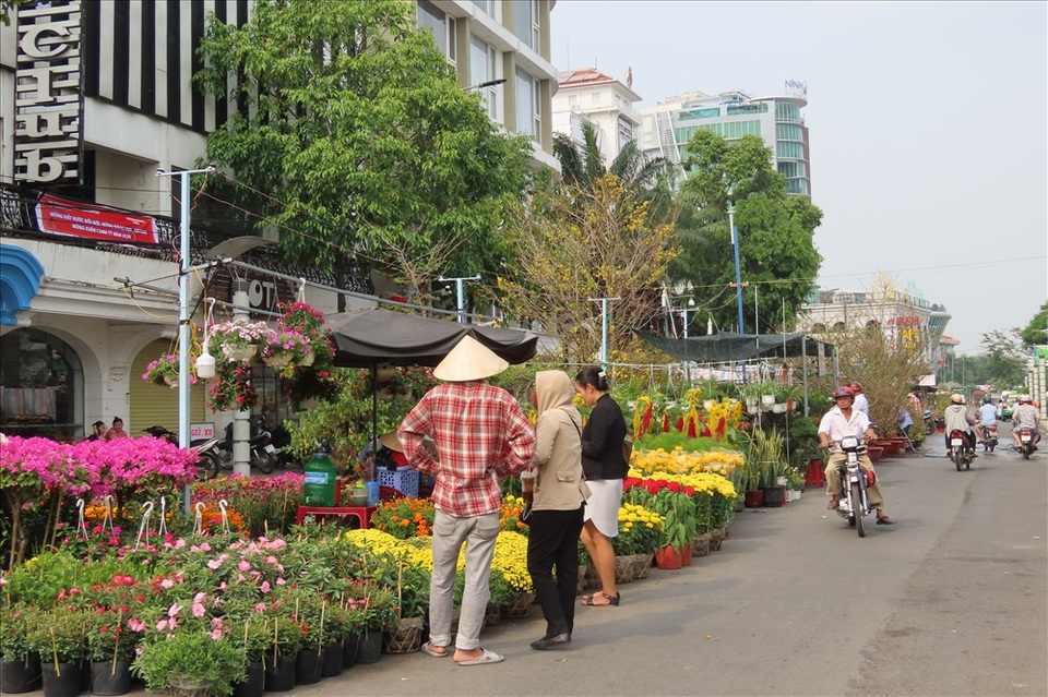 Kiếm dễ chục triệu bằng nghề chở kiểng ngày Tết - 3 Kiếm dễ chục triệu bằng nghề chở kiểng ngày Tết - 3