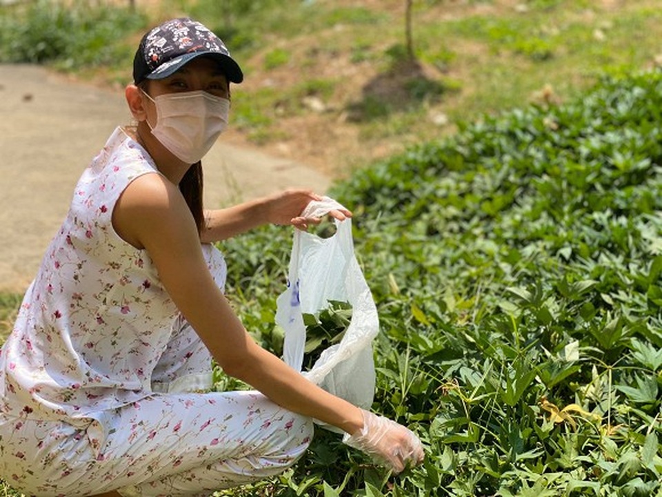Siêu mẫu Võ Hoàng Yến hái rau lang “cải thiện” bữa ăn ở khu cách ly - 3 Siêu mẫu Võ Hoàng Yến hái rau lang “cải thiện” bữa ăn ở khu cách ly - 3