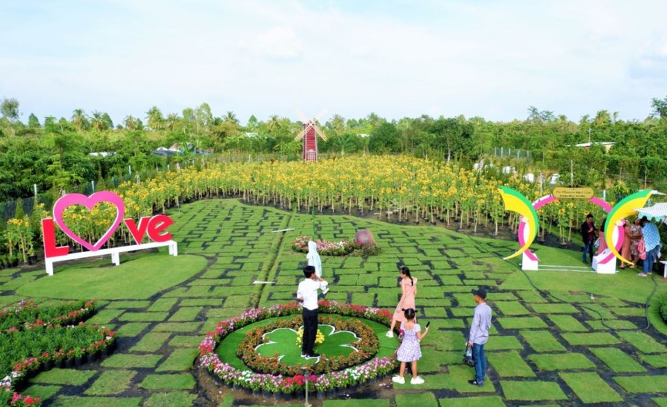 Vườn hoa hướng dương lớn nhất TP Sa Đéc mê hoặc người dân miền Tây - 3 Vườn hoa hướng dương lớn nhất TP Sa Đéc mê hoặc người dân miền Tây - 3