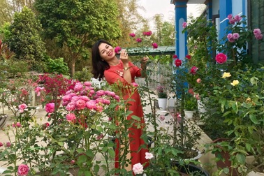 Căn nhà sân vườn rộng 1000m2 quanh năm ngập tràn sắc hoa hồng ở Điện Biên