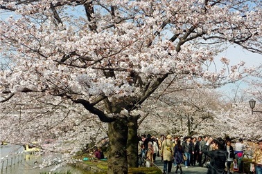 Triển lãm “Việt Nam - Nhật Bản: Đồng hành tiến tới chân trời mới”