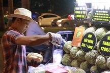 Đi xe hơi bán "trái sầu", chàng trai kiếm gần tỉ bạc mỗi năm