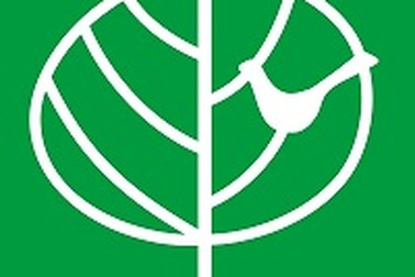 Khuyến mãi lớn trong năm 2013 của Tập đoàn Winsta Holding